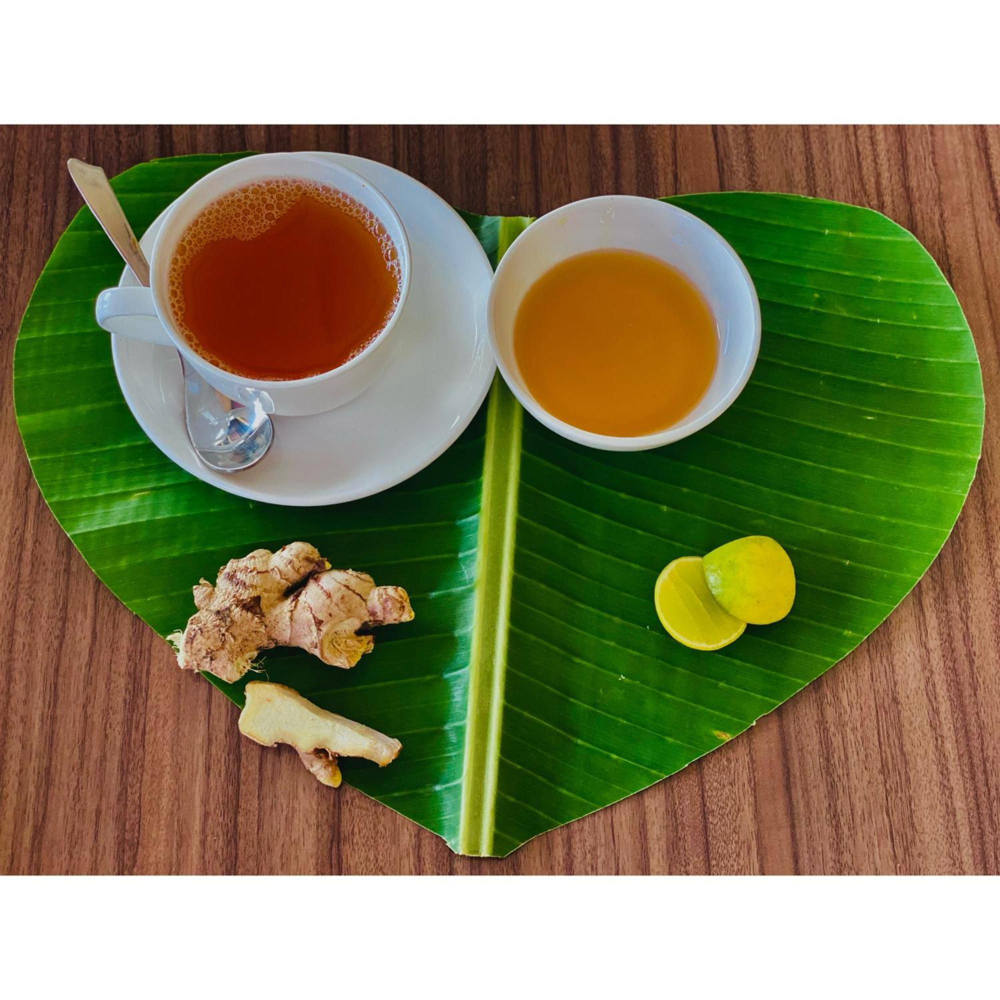 Hotel Sanskriti Vedic Retreat Rishīkesh Zewnętrze zdjęcie